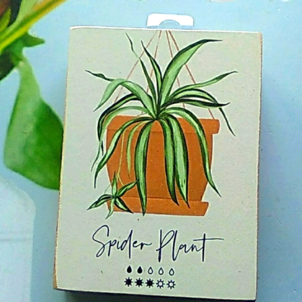 Spider Plant  Chunky Wood Art  Sign